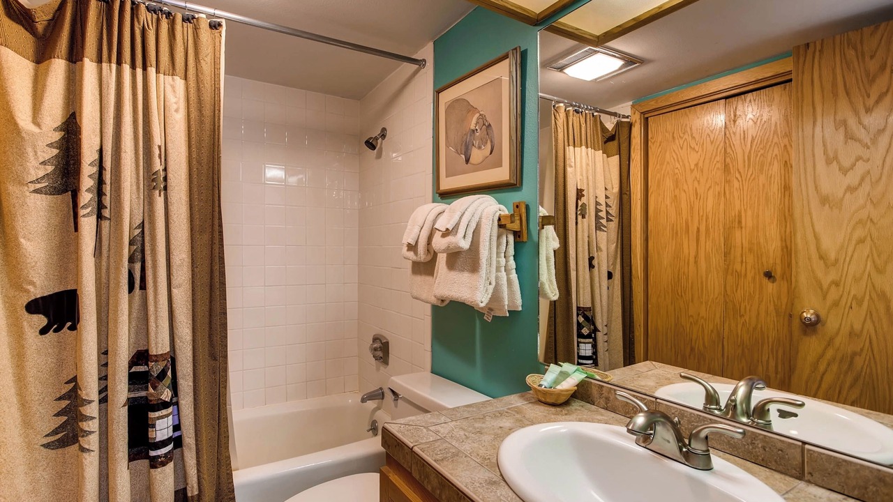 Photo of Bathroom in Crested Butte