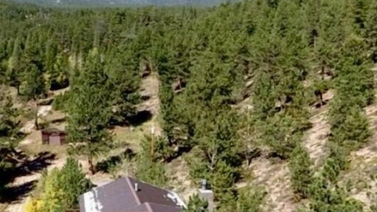Photo of Outdoor in Allenspark