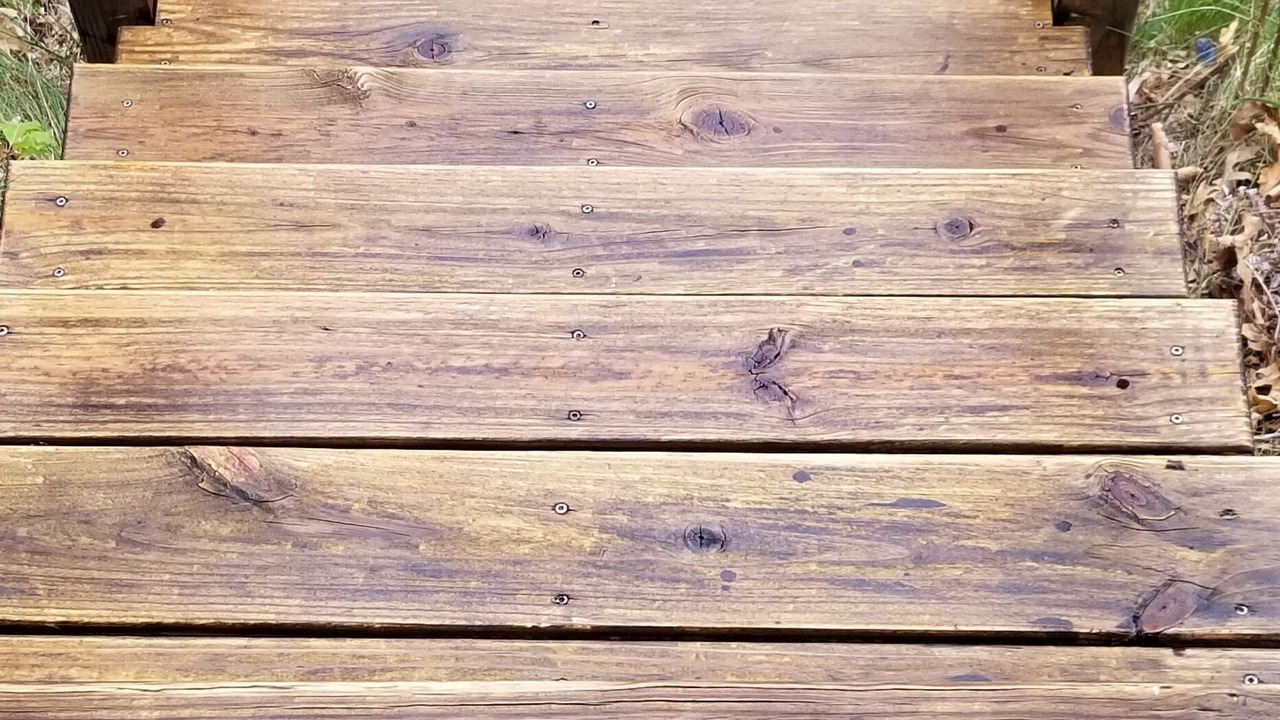 Photo of Outdoor in Three Lakes