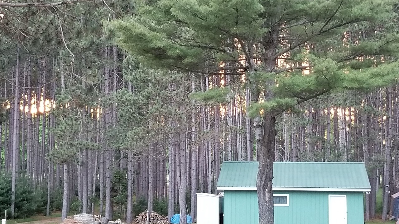 Photo of Others in Three Lakes