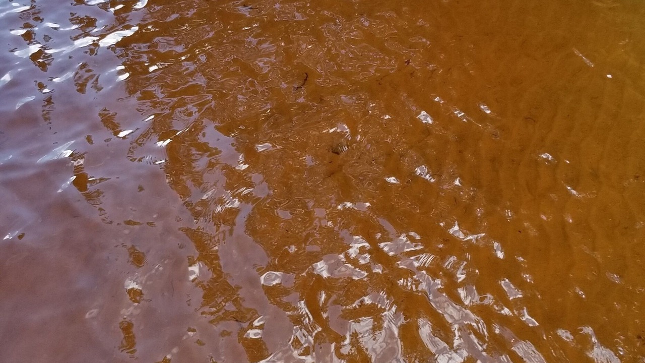 Photo of Others in Three Lakes