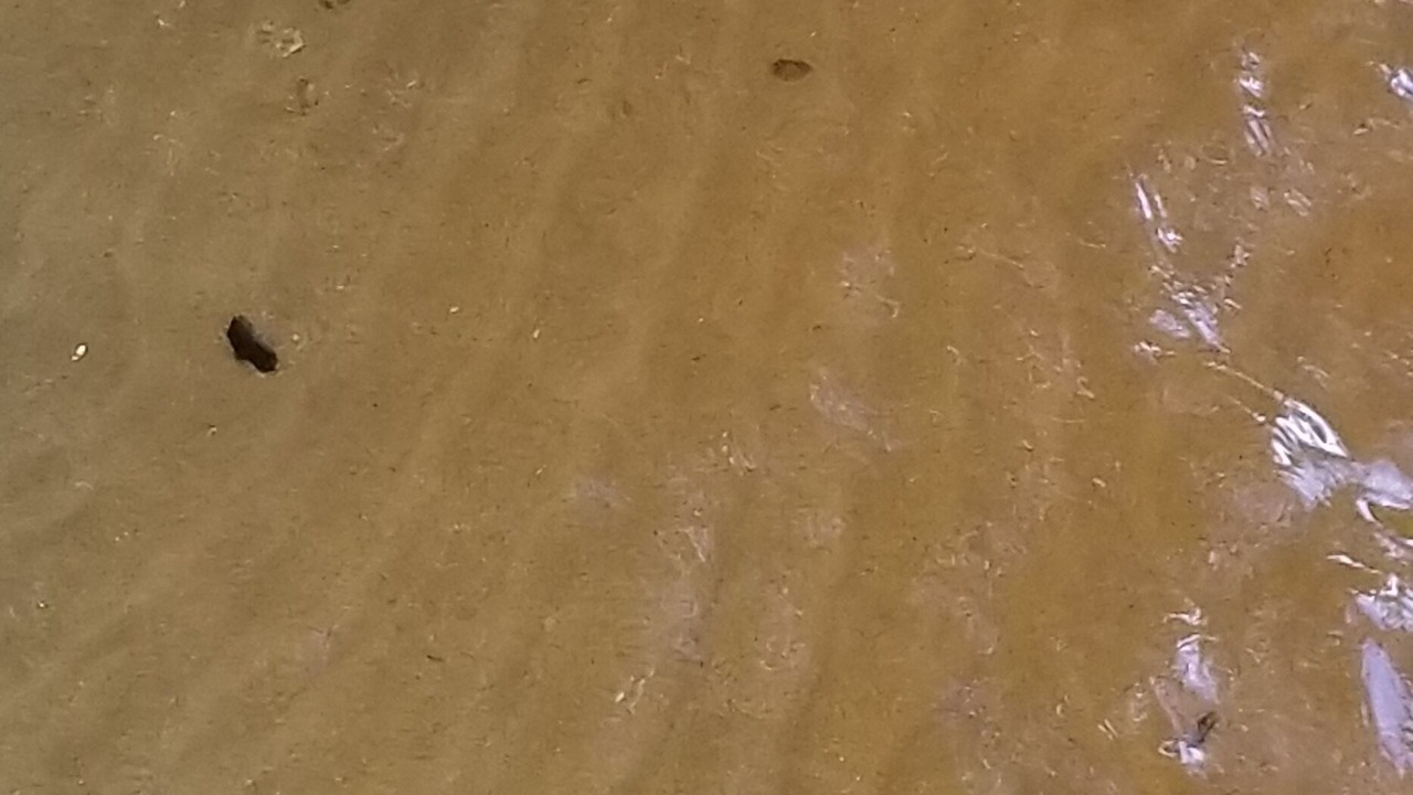 Photo of Others in Three Lakes