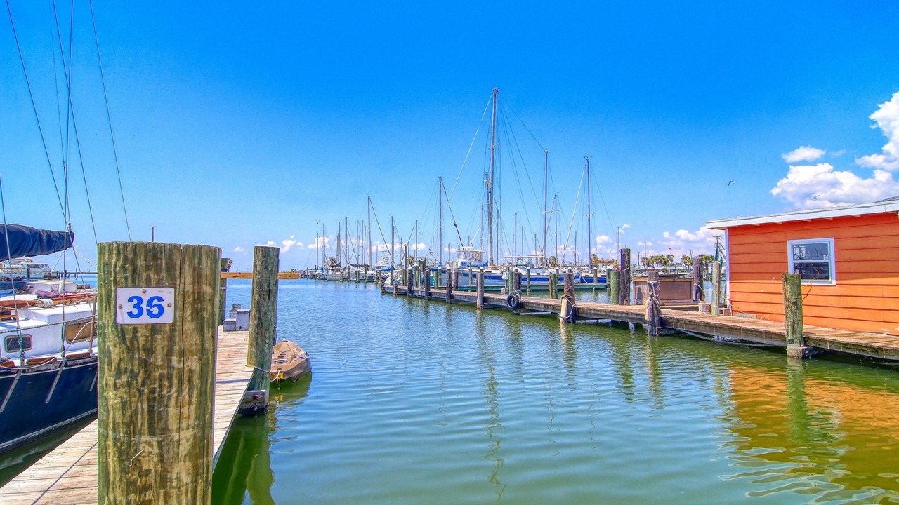 Photo of Others in Rockport