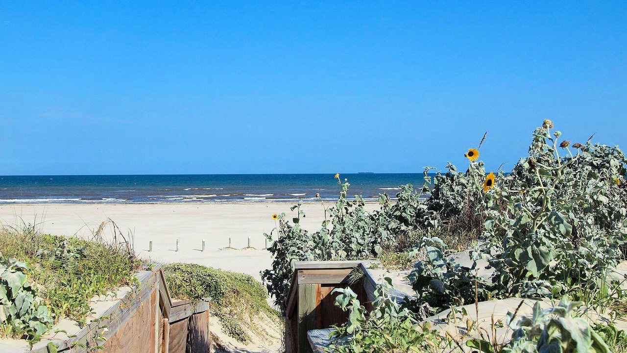 Photo of Others in Sand Point