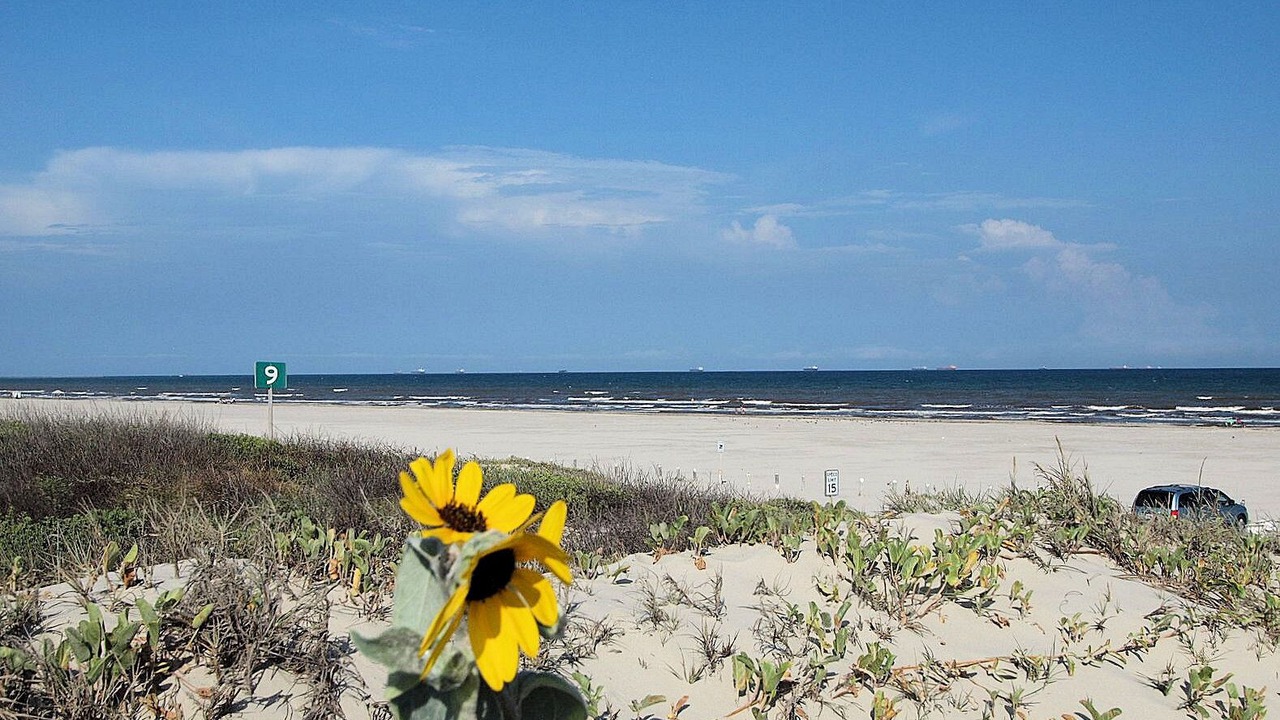 Photo of Others in Sand Point
