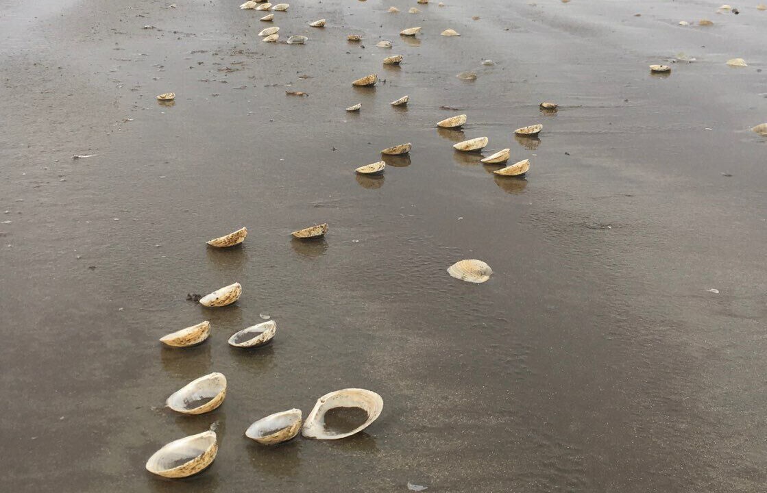 Photo of Others in Galveston