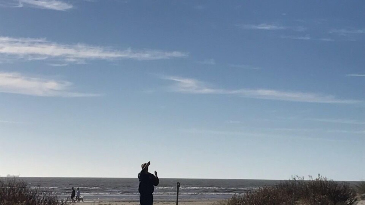 Photo of Others in Galveston
