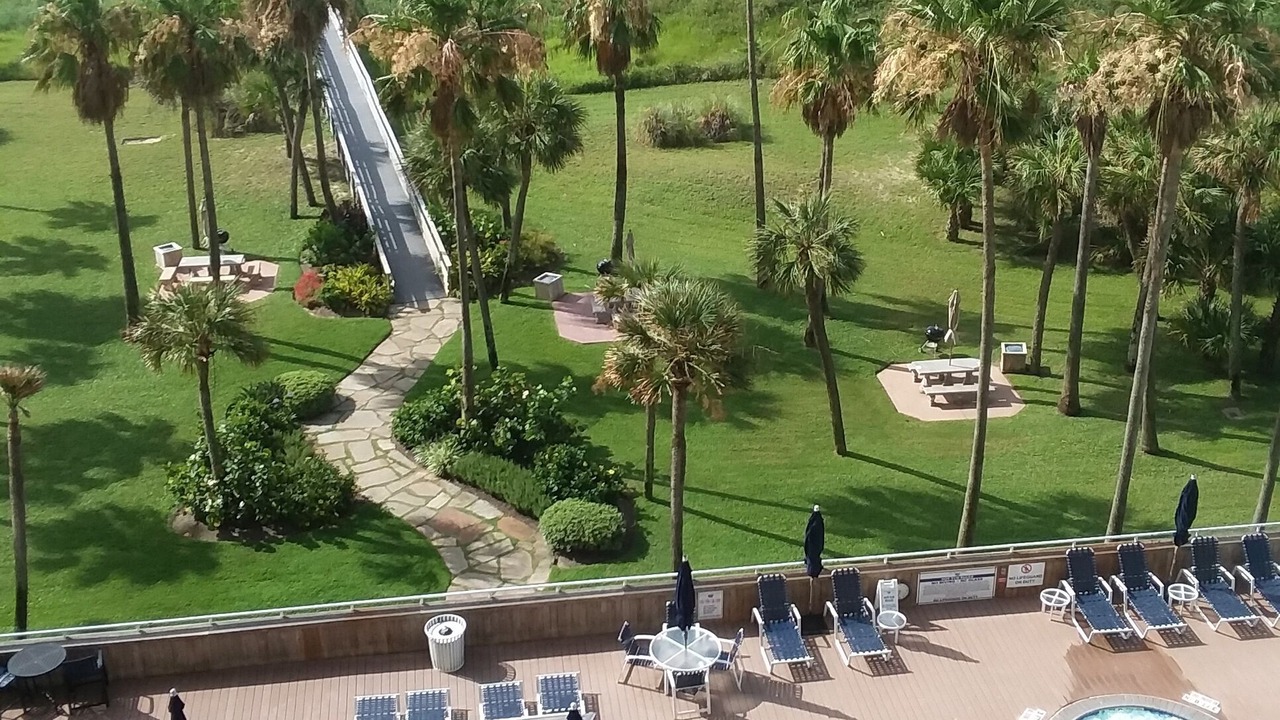 Photo of Outdoor in Galveston