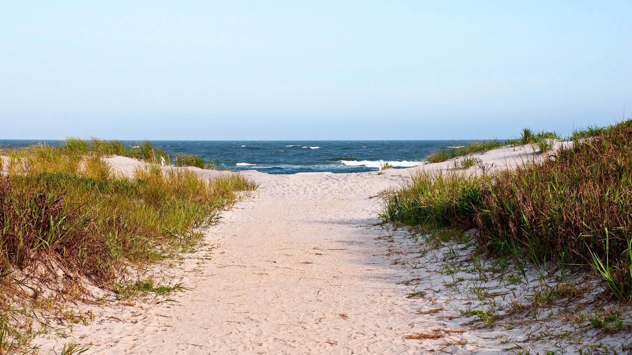 Photo of Others in Brigantine