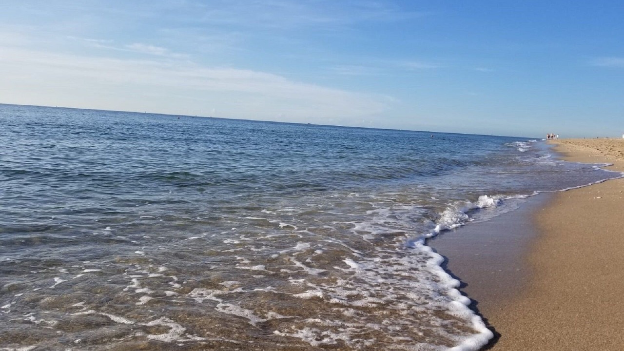 Photo of Others in Central Beach