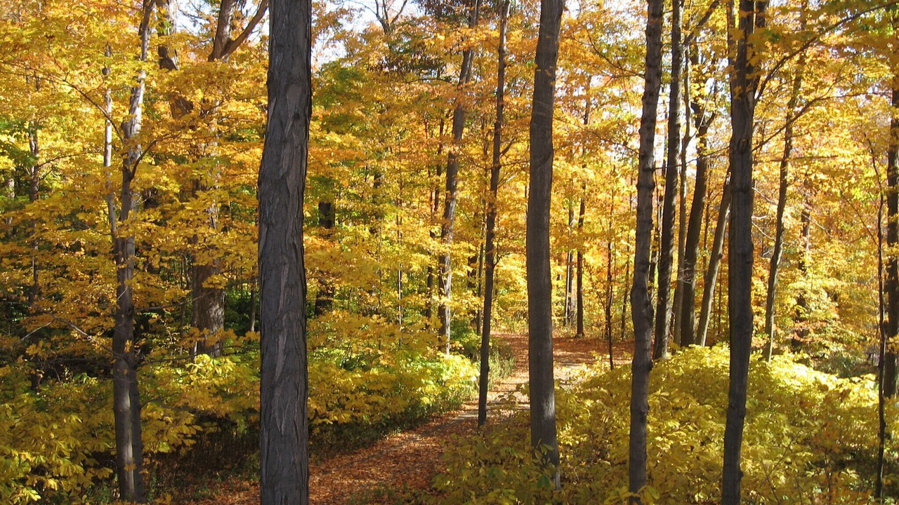 Photo of Outdoor in Westfield