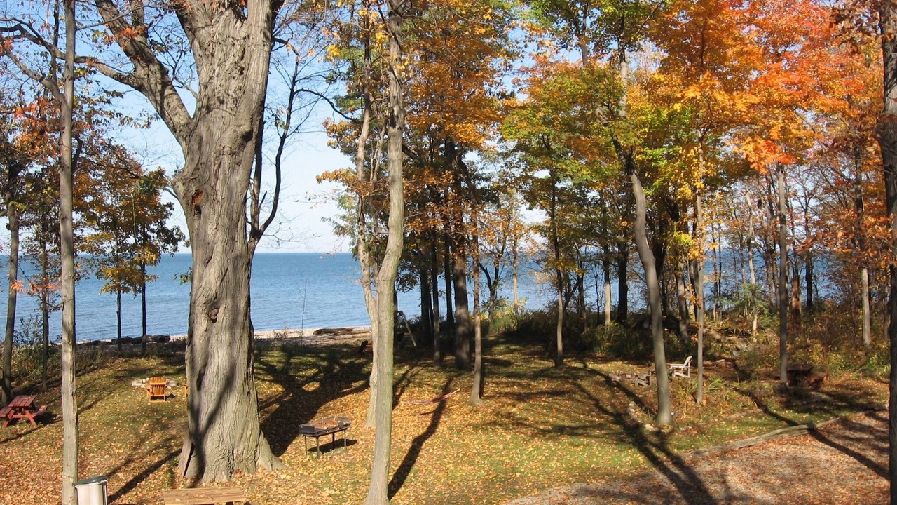Photo of Outdoor in Westfield