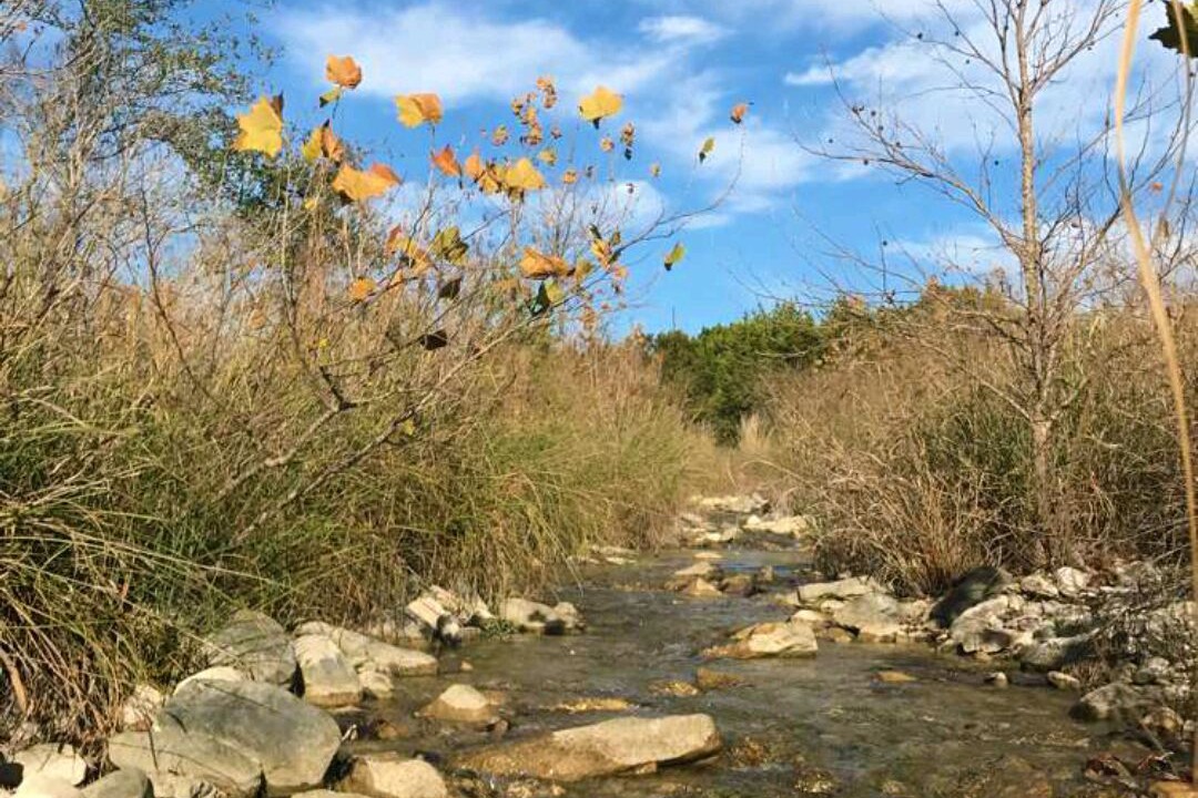 Photo of Outdoor in Leakey