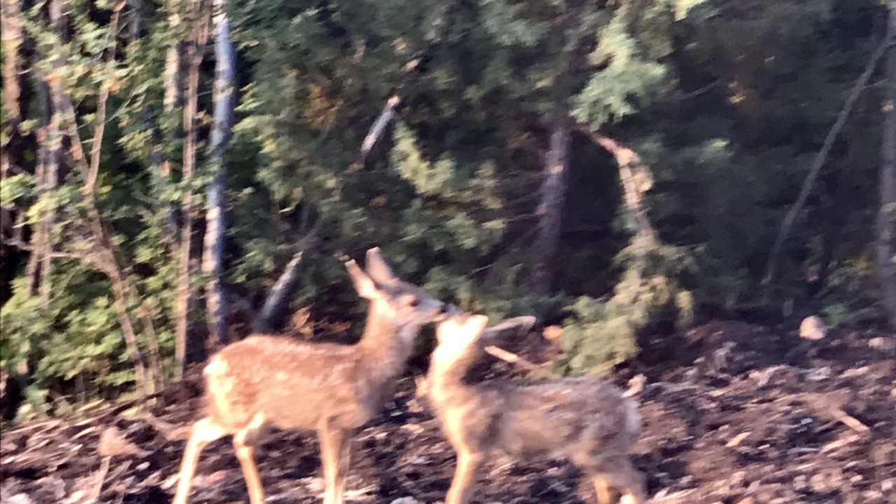 Photo of Others in Garden City