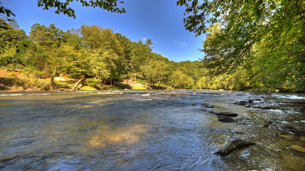 Photo of Others in Ellijay