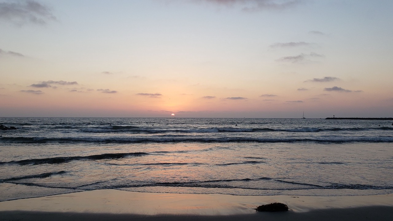 Photo of Others in Ocean Beach