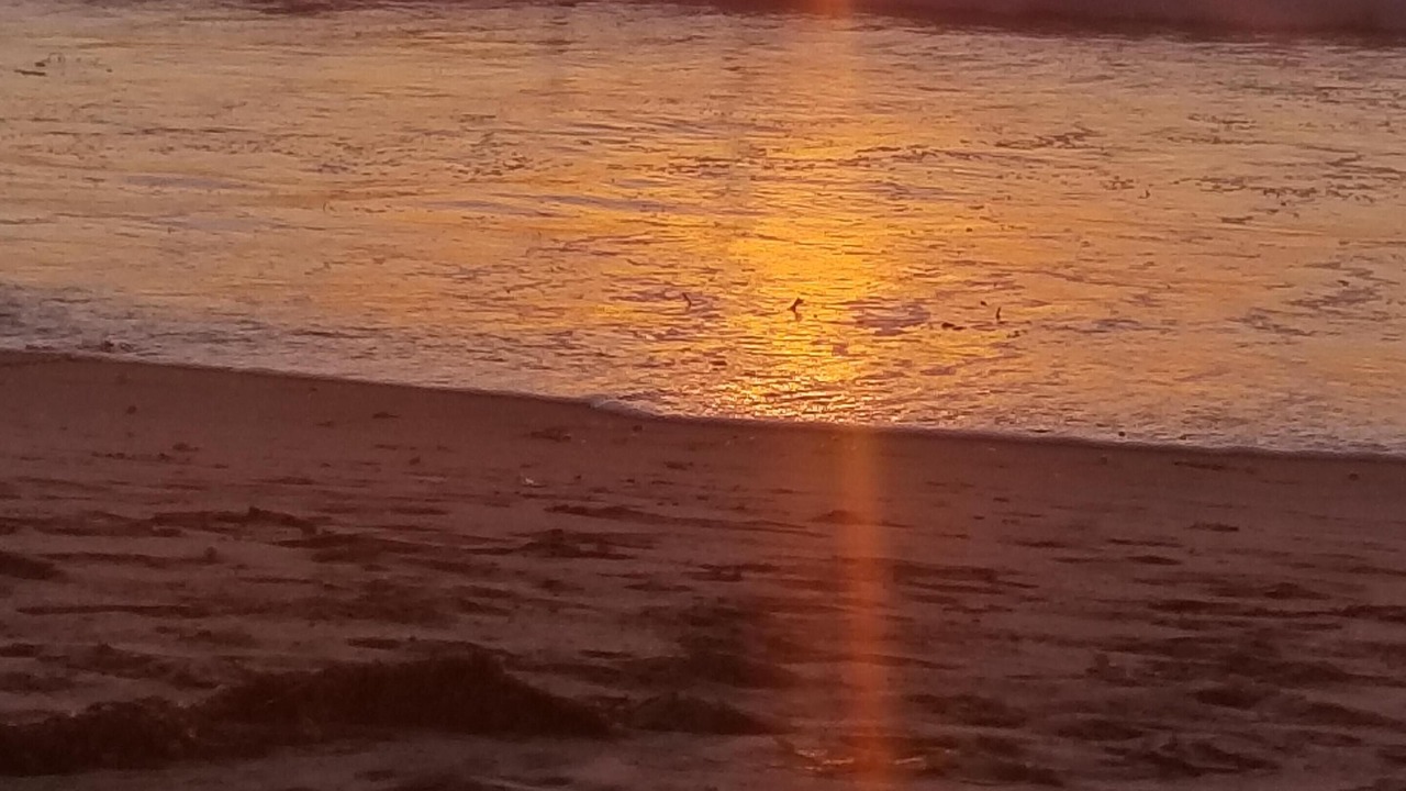 Photo of Others in Ocean Beach
