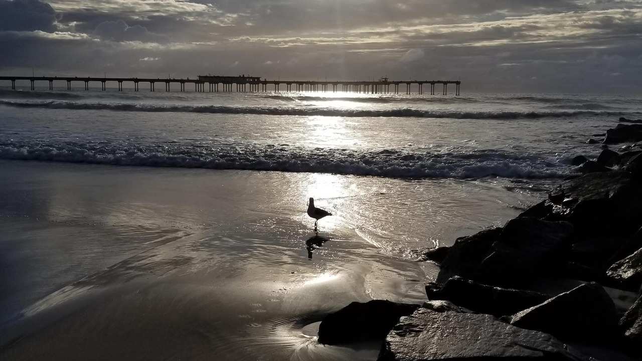 Photo of Others in Ocean Beach