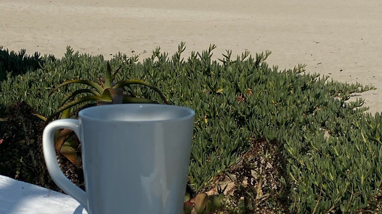 Photo of Others in Ocean Beach