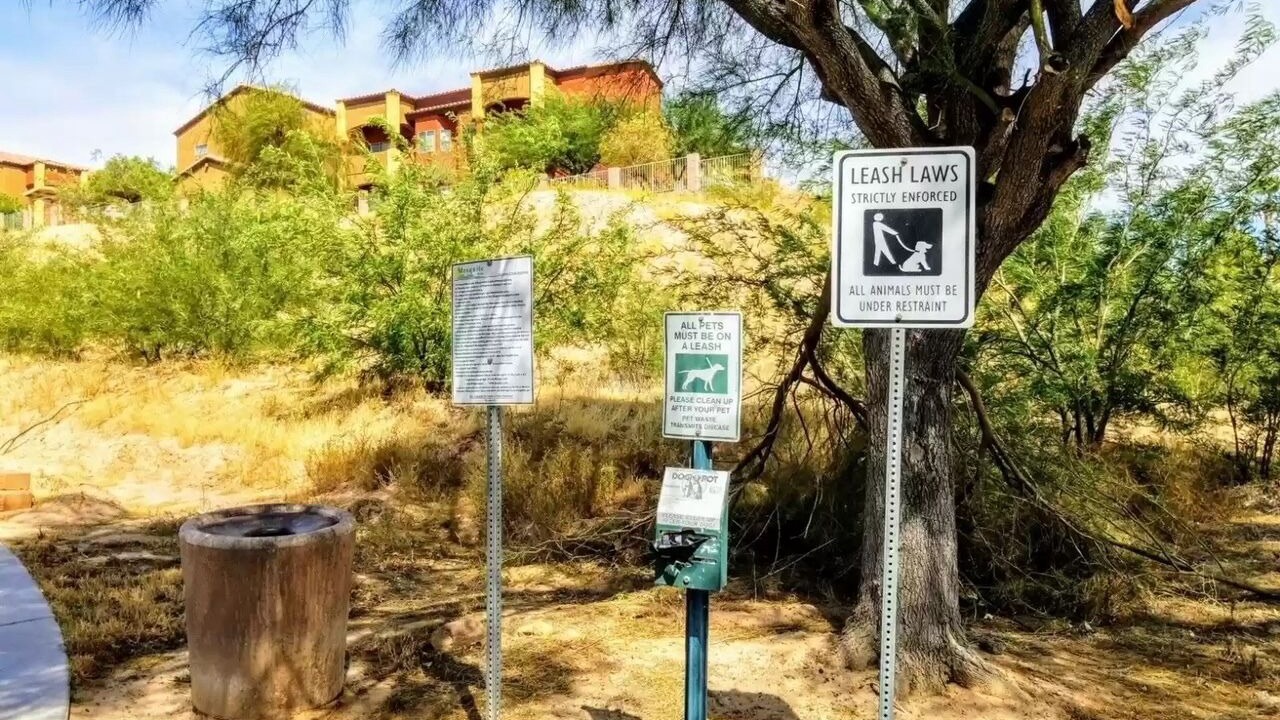 Photo of Outdoor in Mesquite