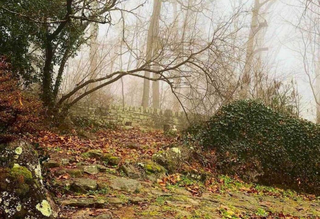 Photo of Outdoor in Chattanooga
