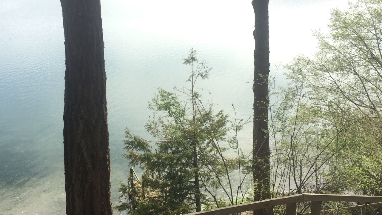 Photo of Others in Roche Harbor