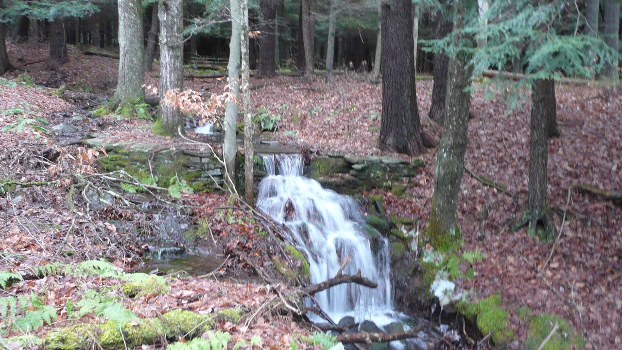 Photo of Others in Narrowsburg