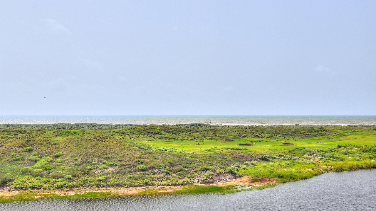 Photo of Others in Port Aransas