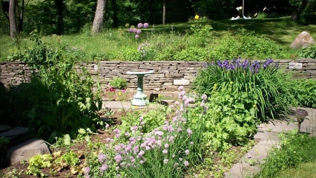 Photo of Outdoor in East Branch