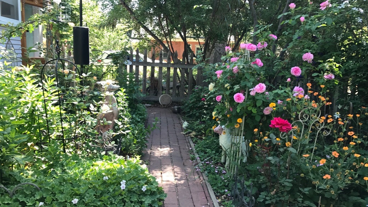 Photo of Outdoor in Old Town West