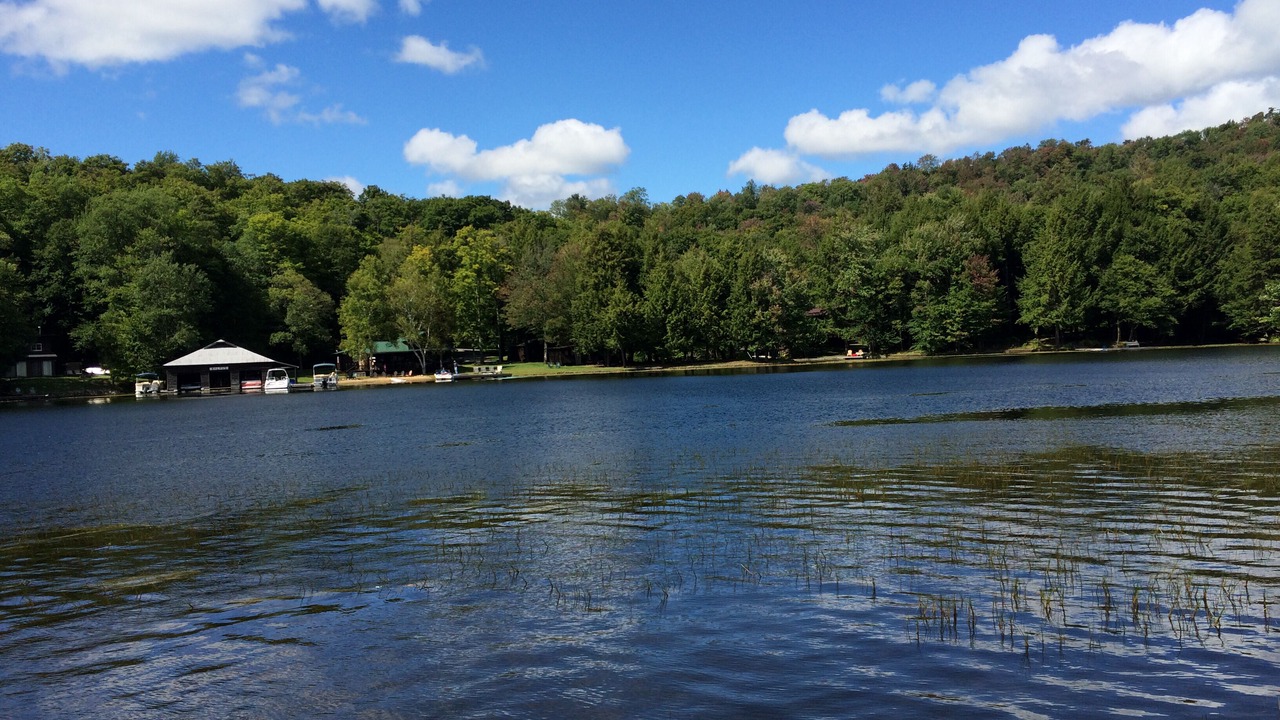 Photo of Others in Old Forge