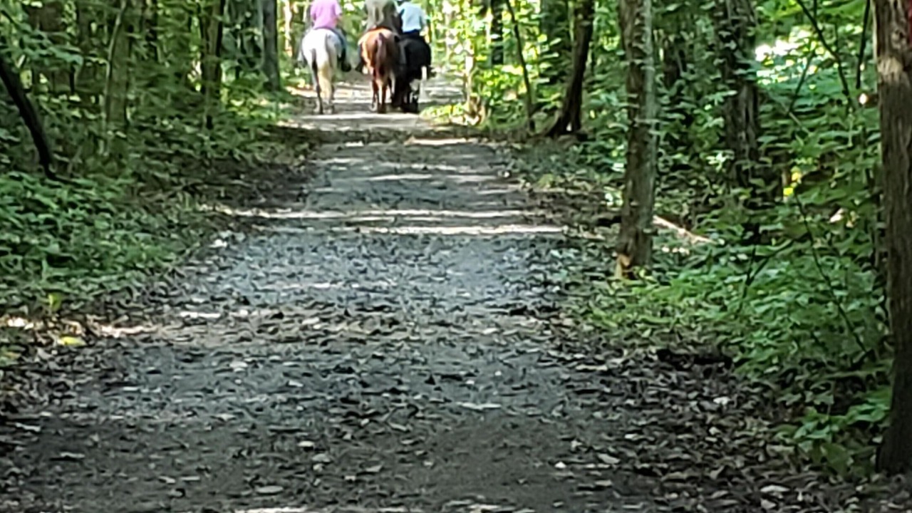 Photo of Outdoor in Huron