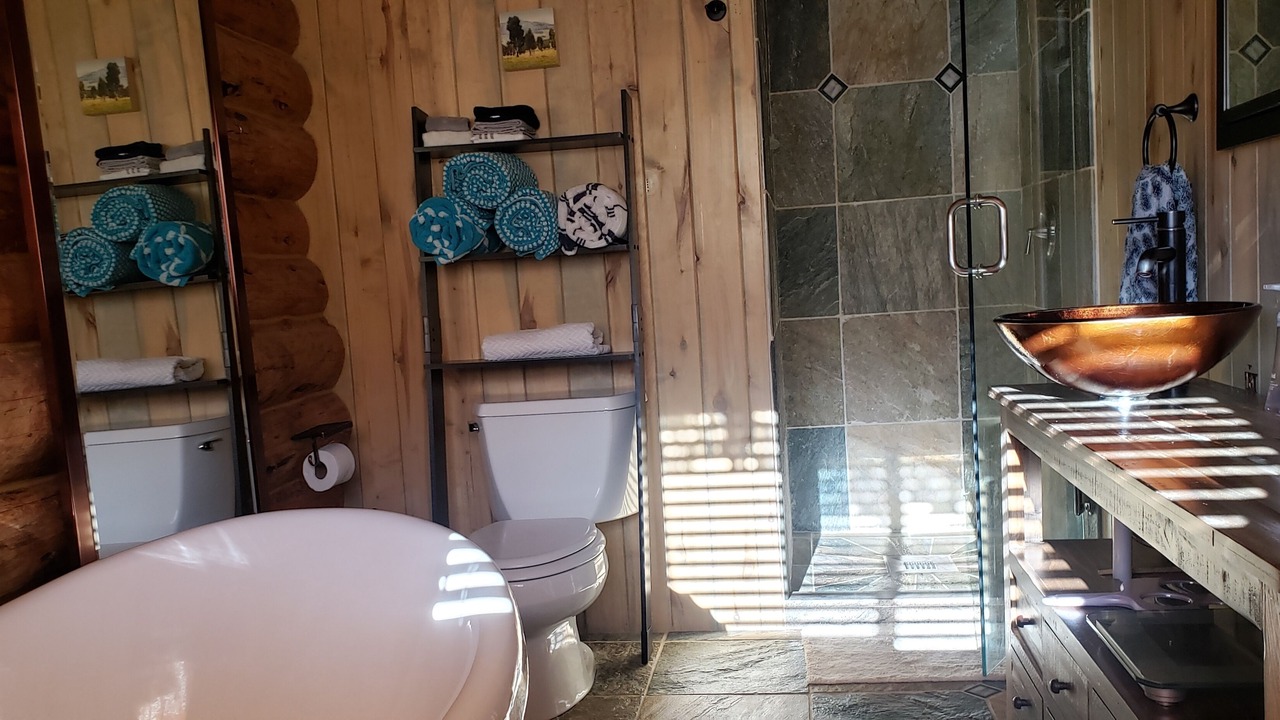 Photo of Bathroom in Buena Vista