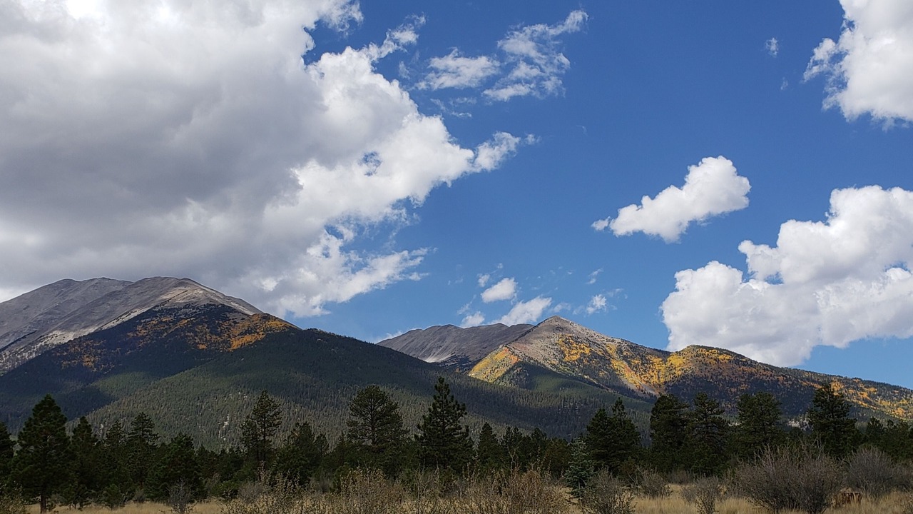 Photo of Others in Buena Vista