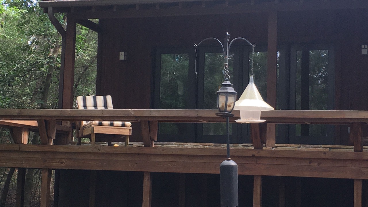 Photo of Others in Holly Lake Ranch