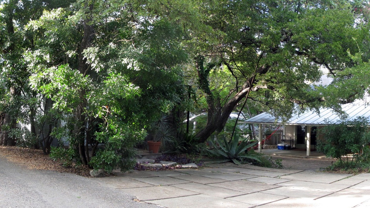 Photo of Others in Travis Heights