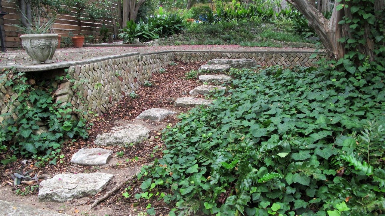 Photo of Outdoor in Travis Heights
