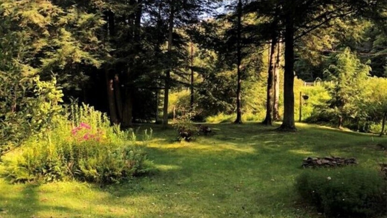 Photo of Outdoor in Ulysses