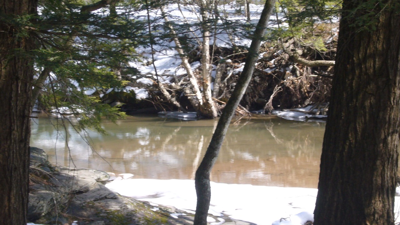 Photo of Others in Lake Hill