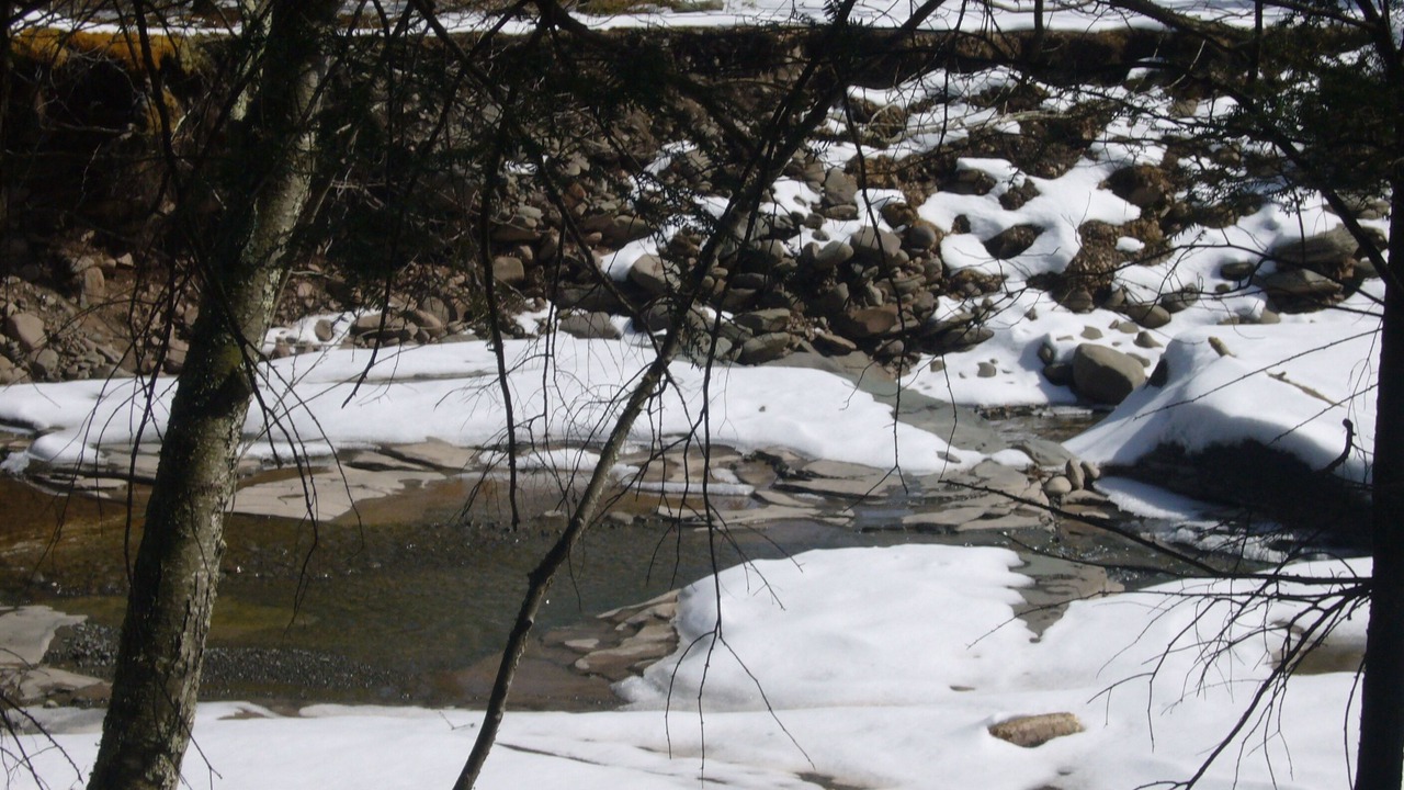 Photo of Others in Lake Hill