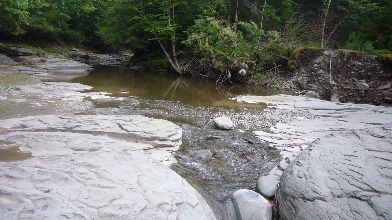 Photo of Outdoor in Lake Hill