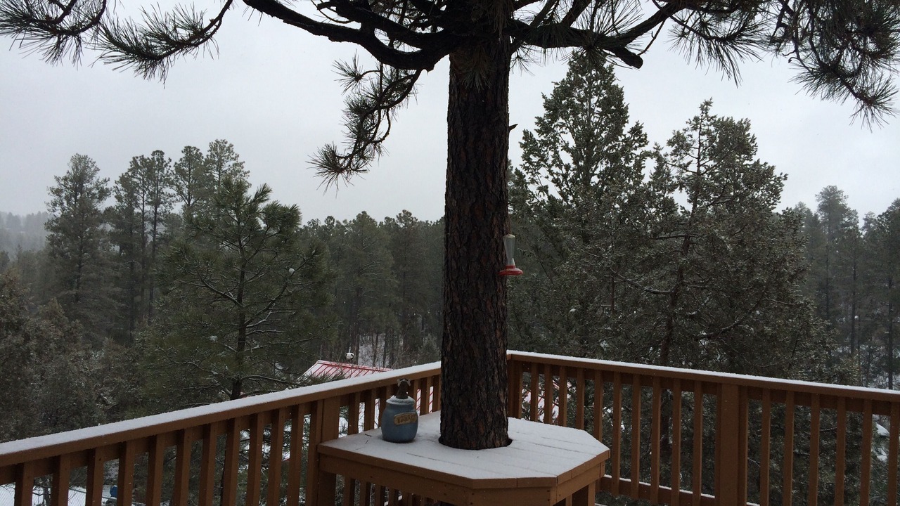Photo of Others in Ruidoso