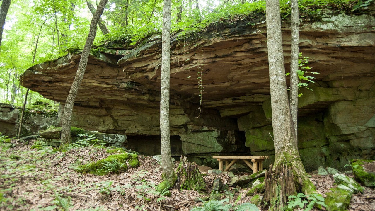 Photo of Outdoor in Fairfield Glade