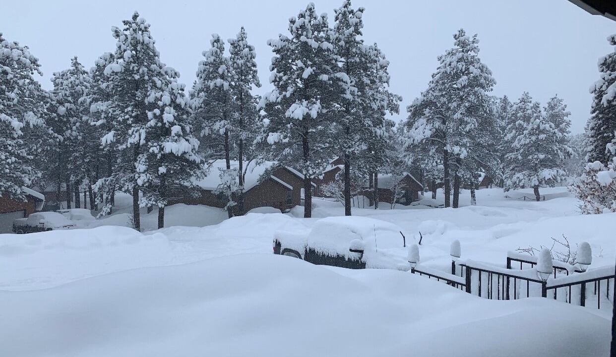 Photo of Others in Pagosa Springs