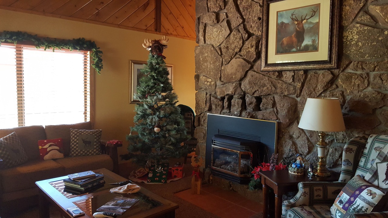 Photo of Livingroom in Pagosa Springs