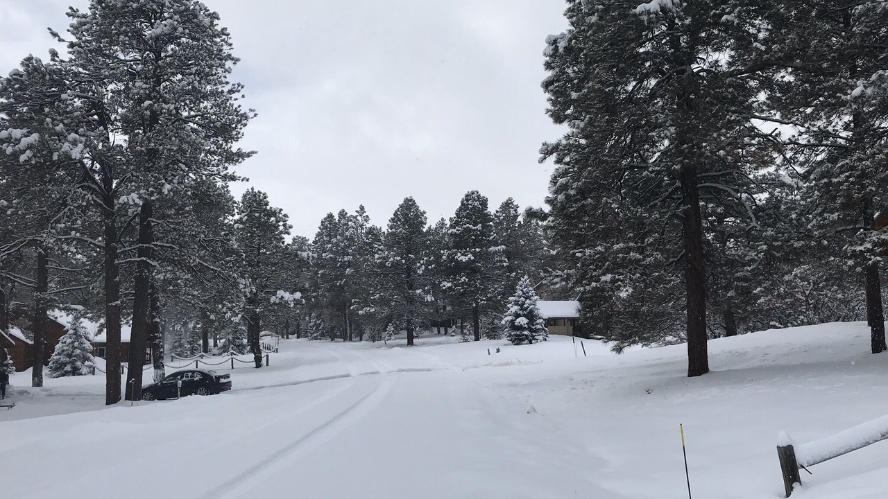 Photo of Others in Pagosa Springs