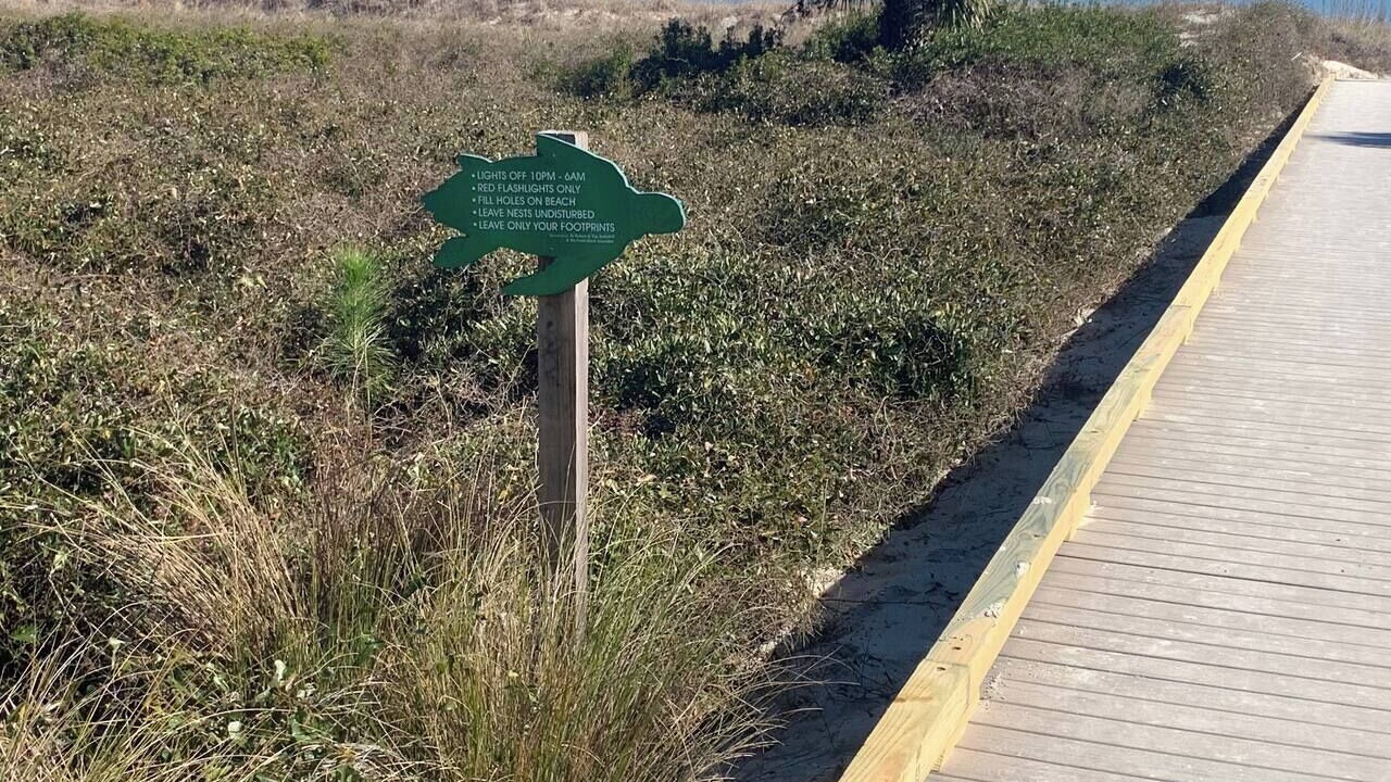 Photo of Others in Hilton Head Island