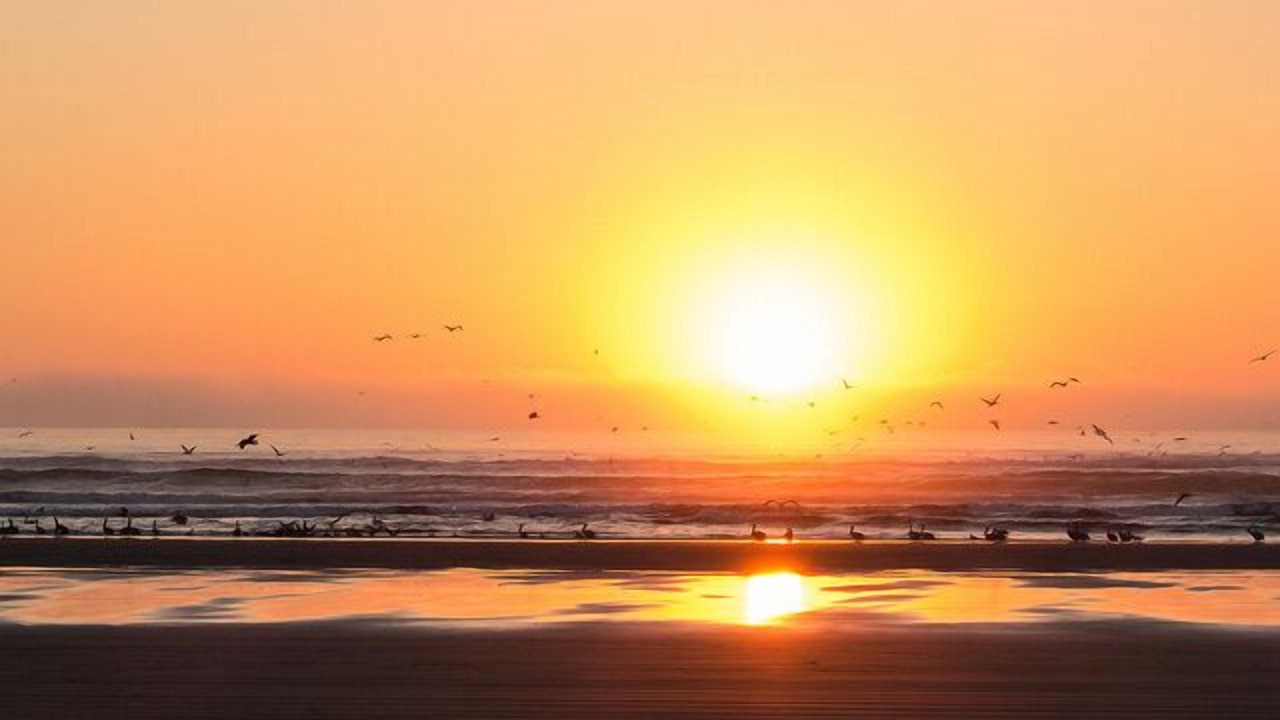 Photo of Others in Sunset Beach