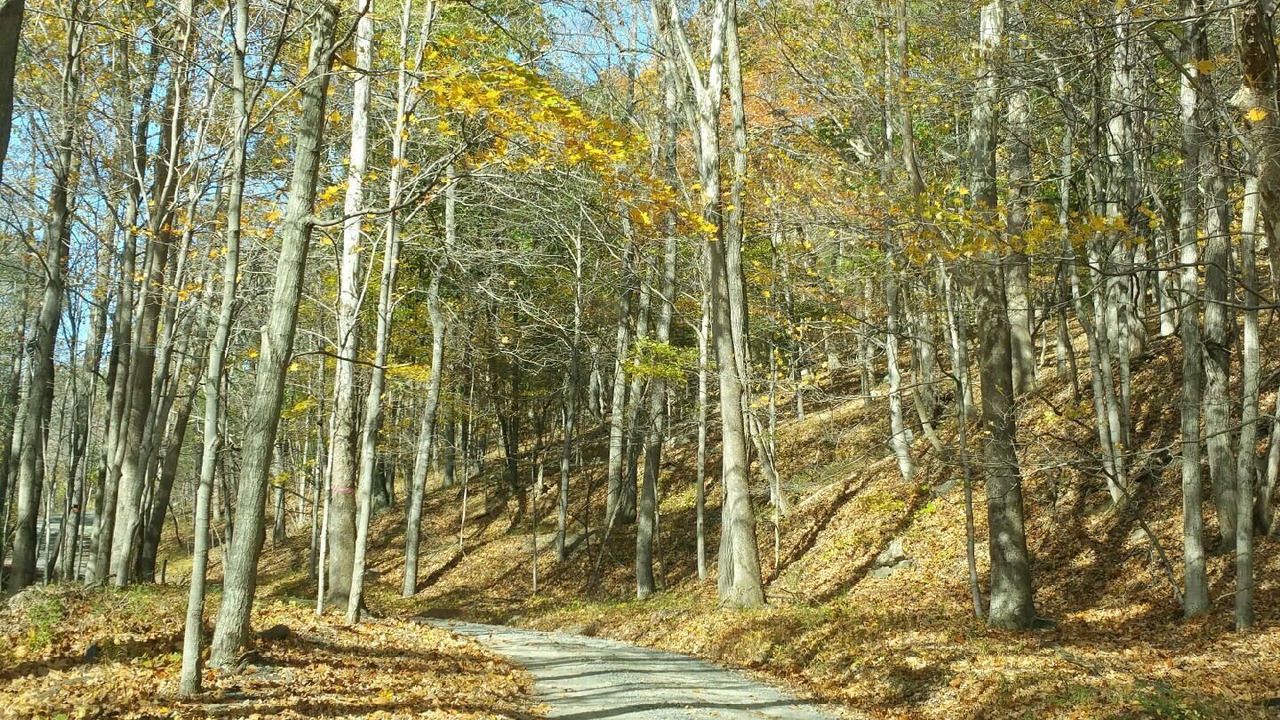 Photo of Others in Berkeley Springs