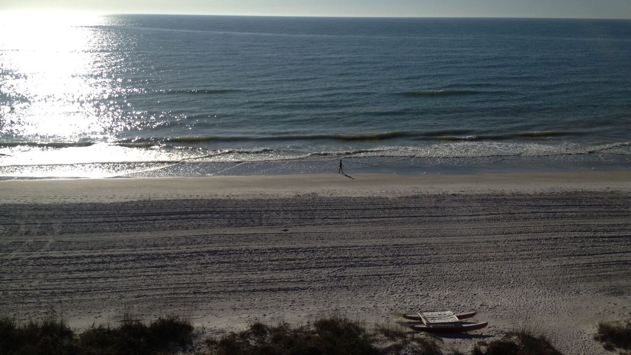 Photo of Others in Indian Shores